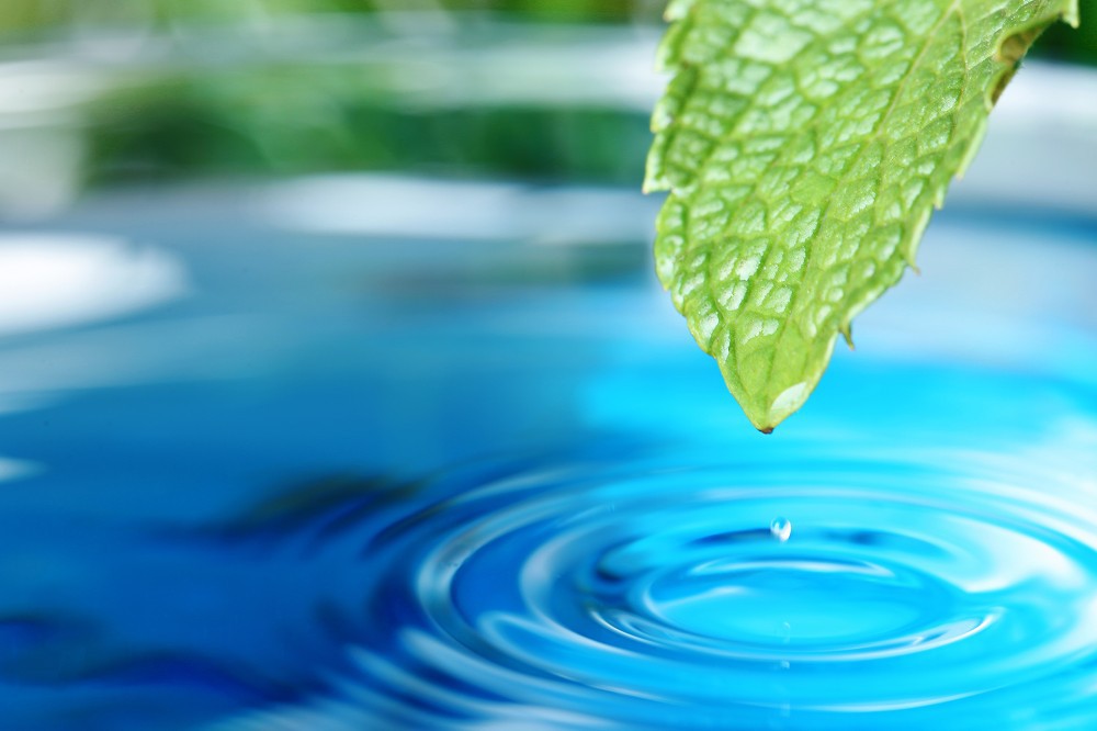 Die Kunst des Wasser-Lesens: Von Anfang bis zur Perfektion